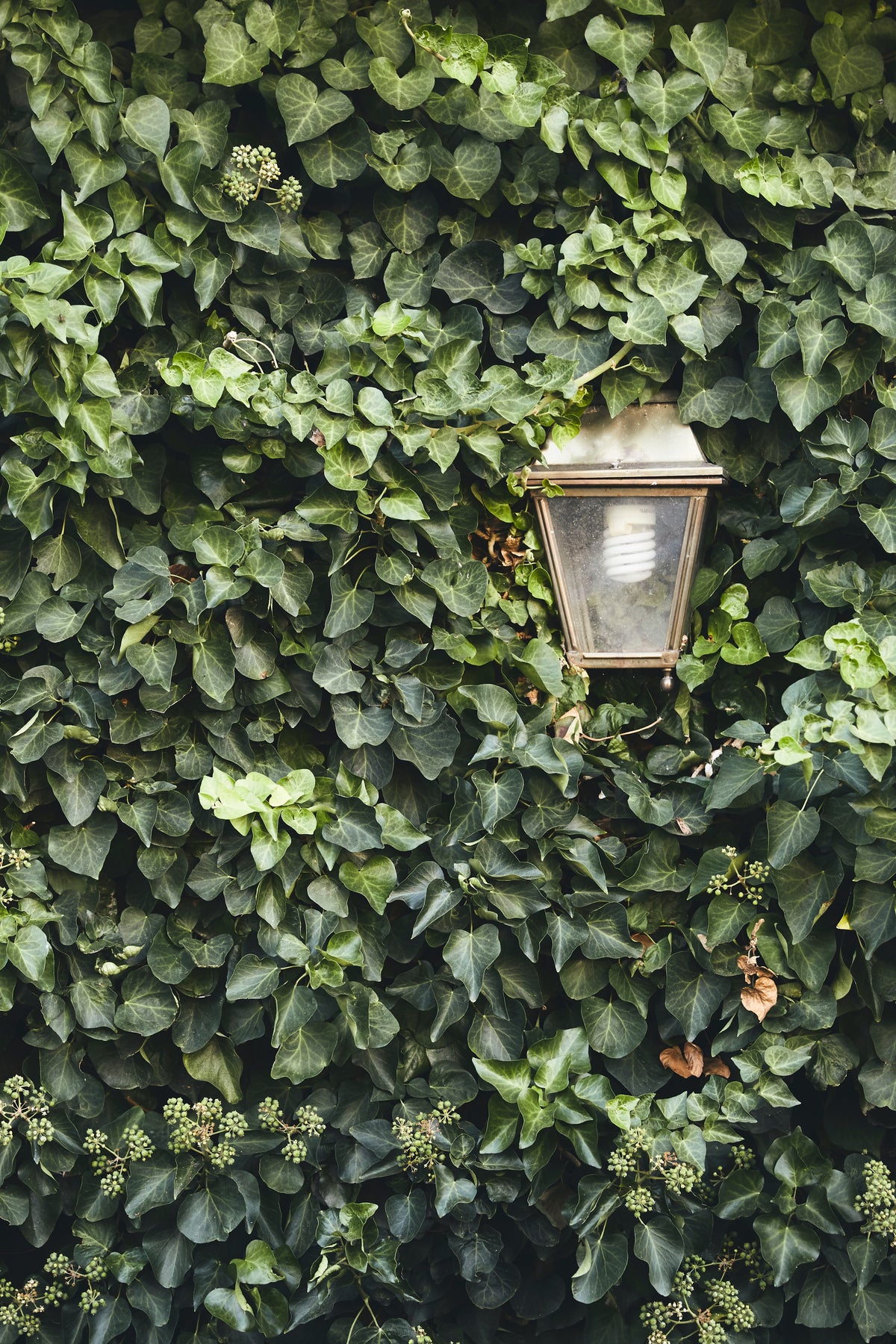 How To Choose Outdoor Garden Lighting
