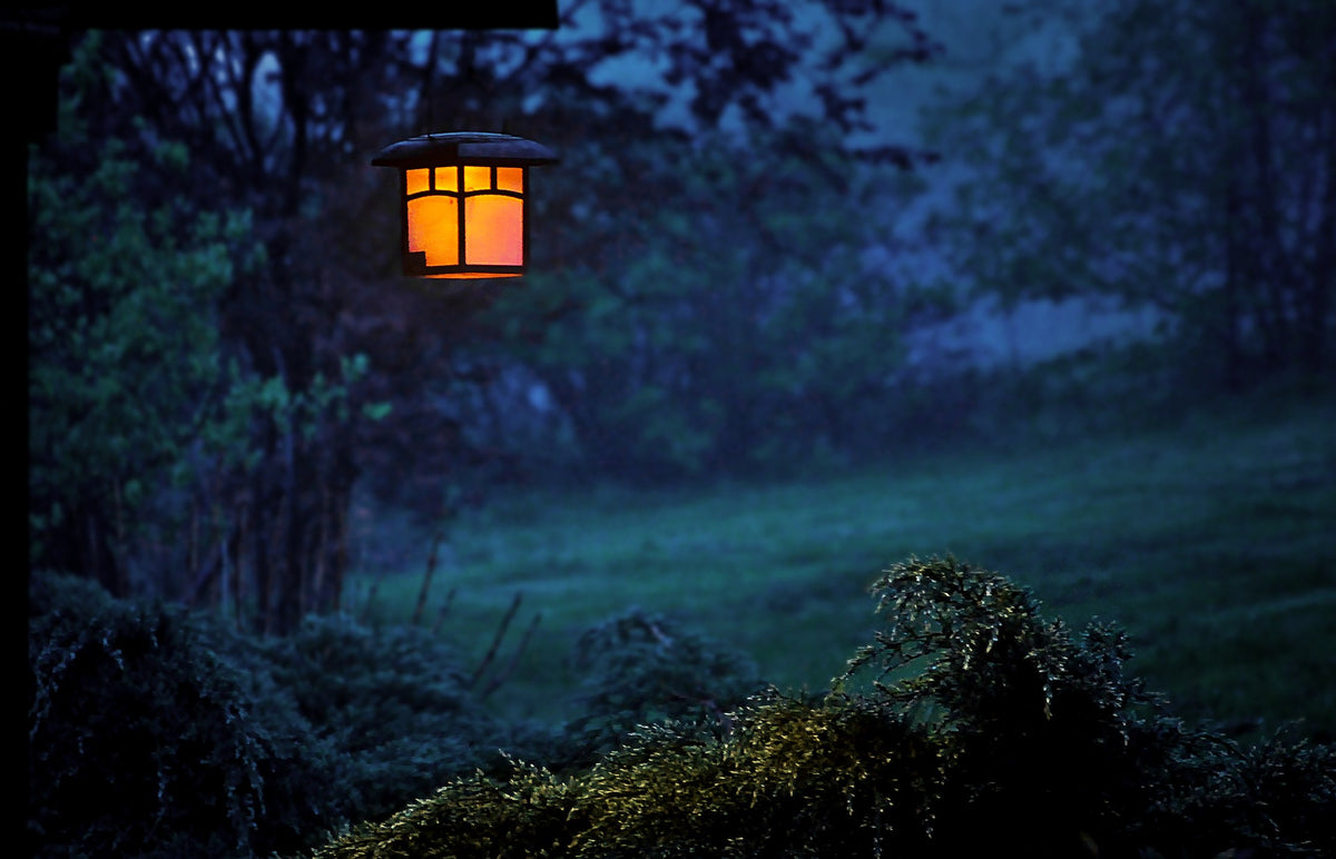 Outdoor Bug Lighting