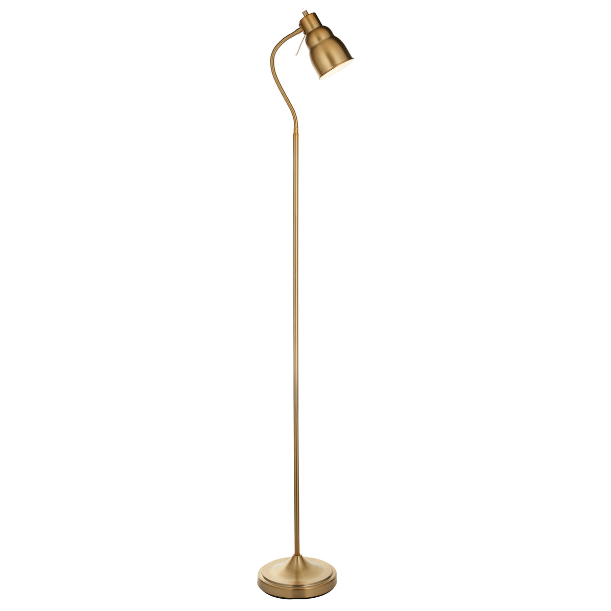 Classic Flexi Reader Floor Lamp in Brushed Aged Brass