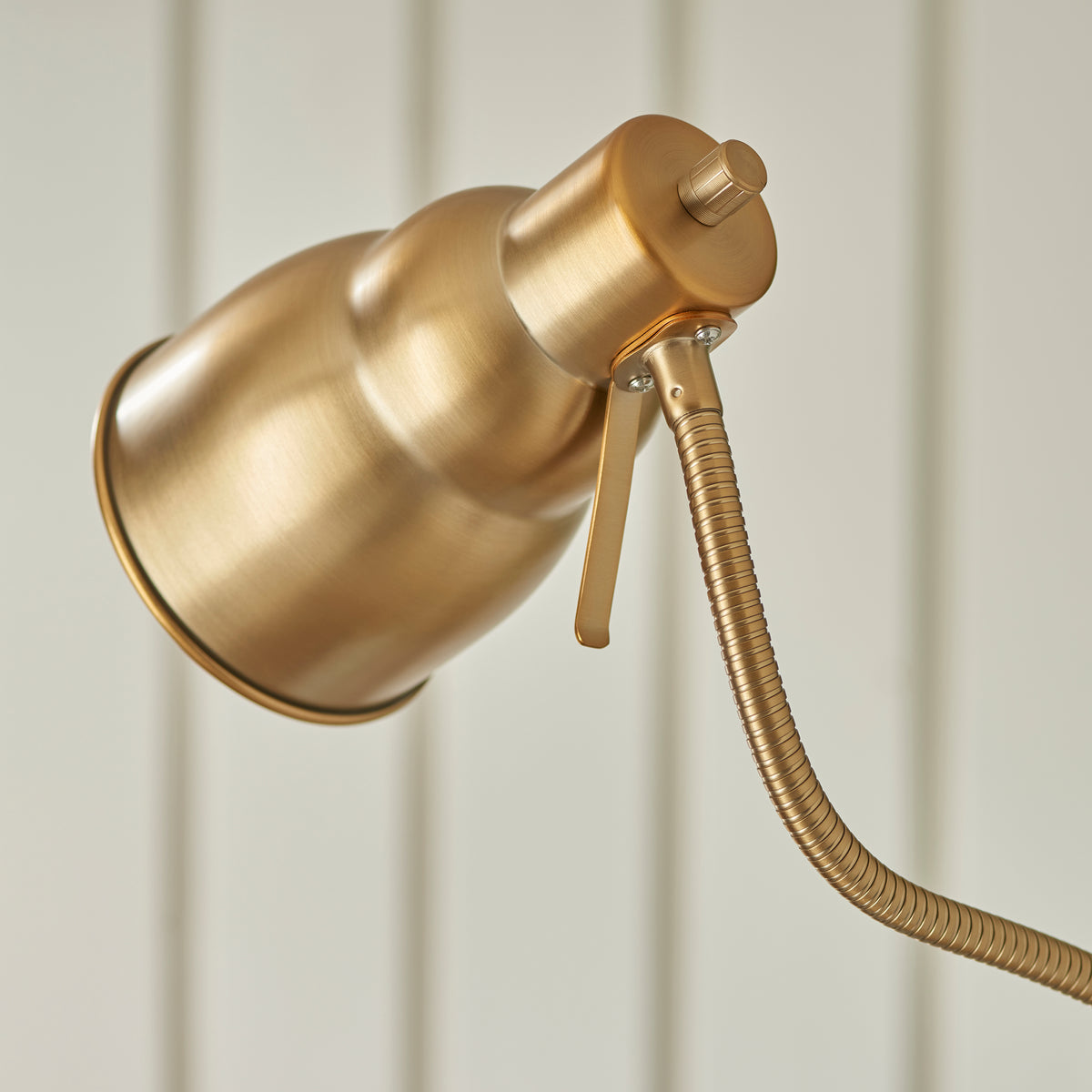 Classic Flexi Reader Floor Lamp in Brushed Aged Brass