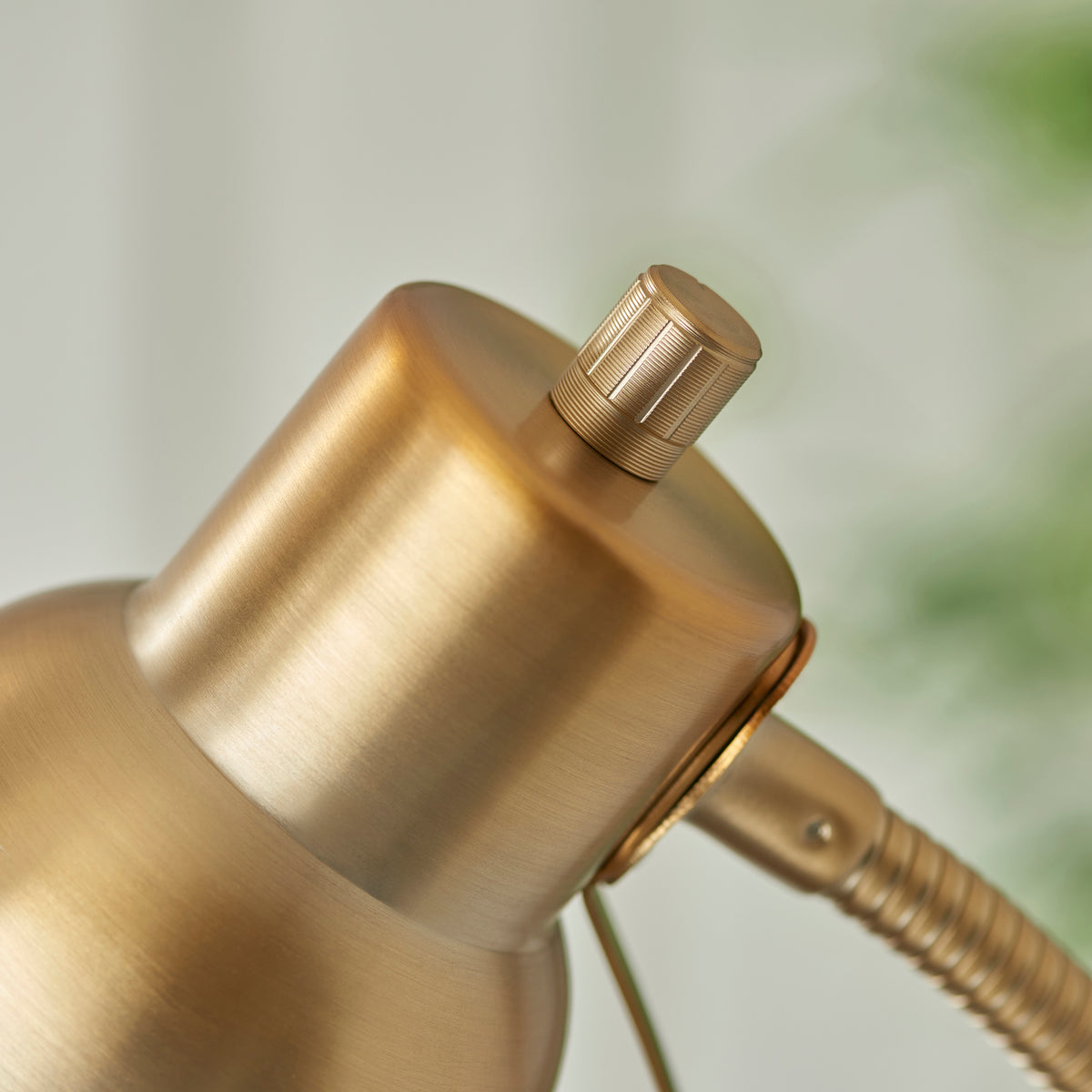 Classic Flexi Reader Floor Lamp in Brushed Aged Brass