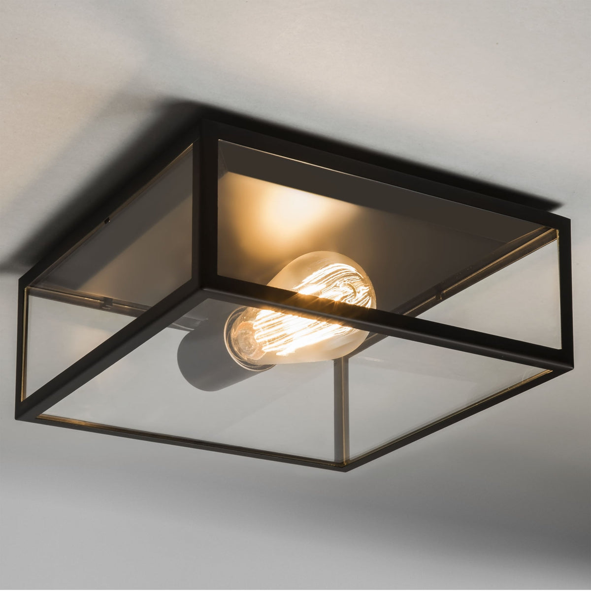 Bronte Ceiling Light in Black with Clear Glass