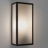 Messina 160 Frosted II Exterior Textured Black IP44 Wall Light