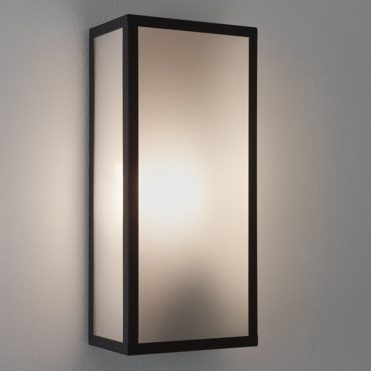 Messina Frosted II IP44 Exterior Black Wall Light