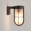 Cabin IP44 Frosted Glass Wall Light in Bronze