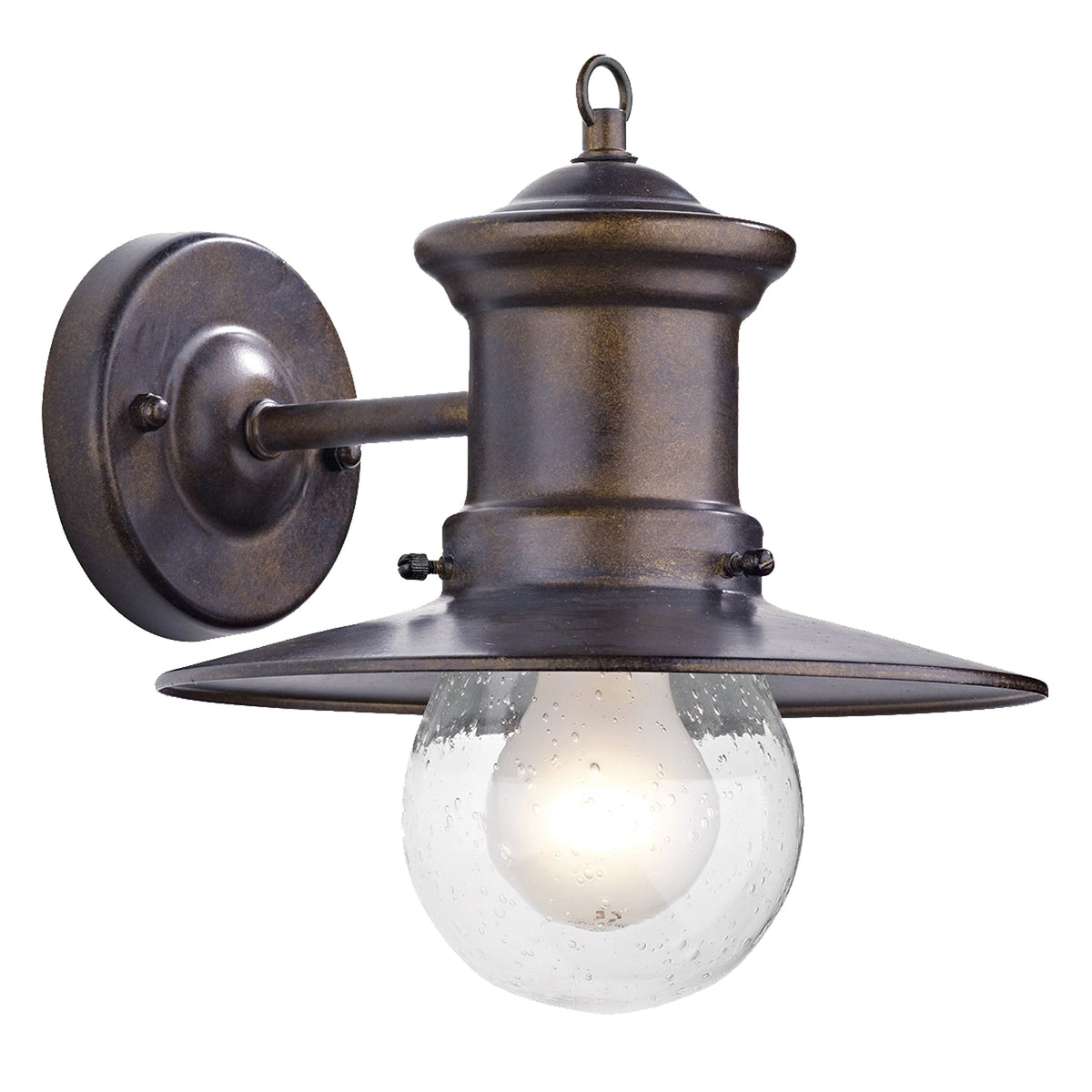 Bronze outdoor wall light with a clear, seeded glass globe and an exposed bulb.