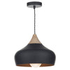 Gaucho Pendant Light in Matte Black