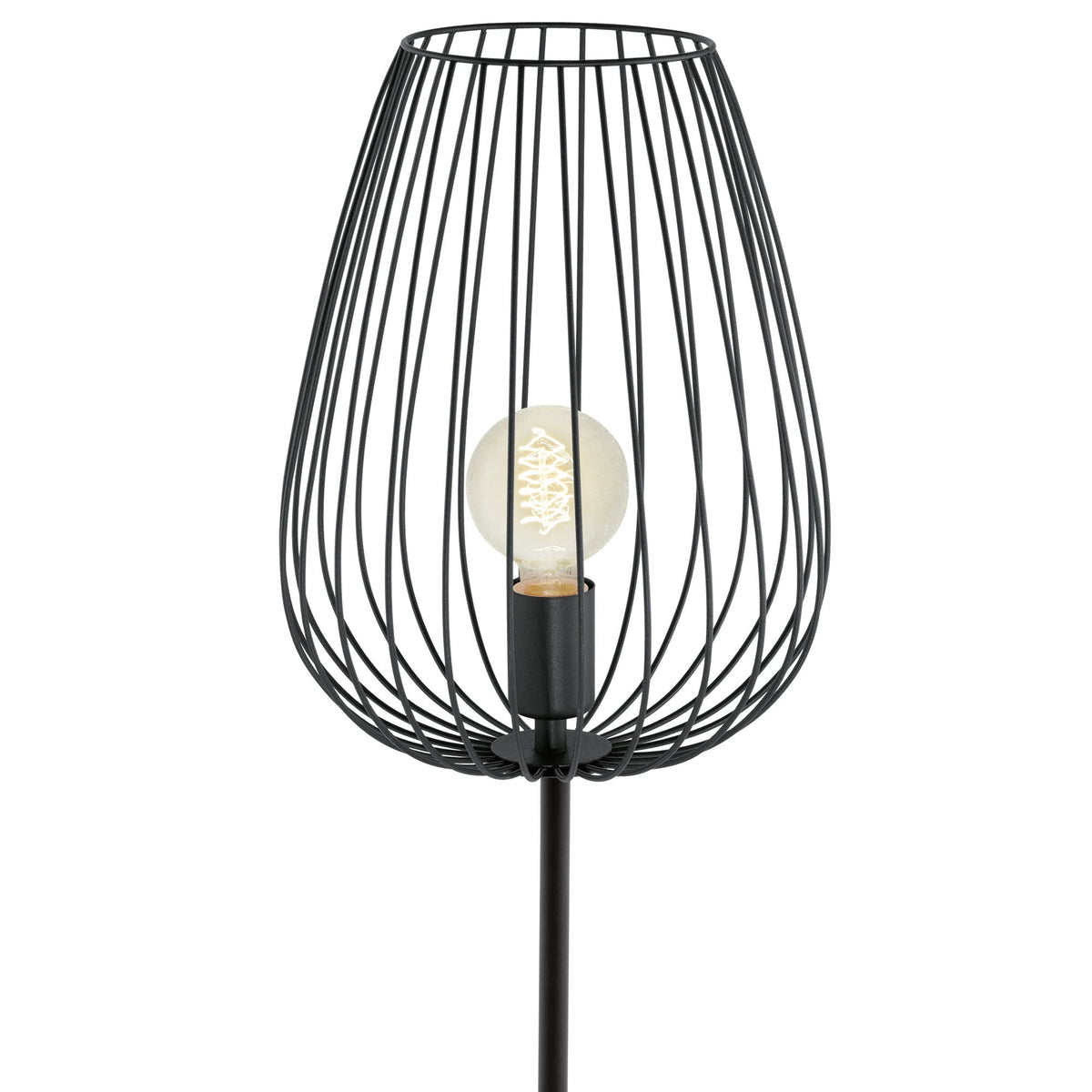 Newtown Cage Floor Lamp in Black