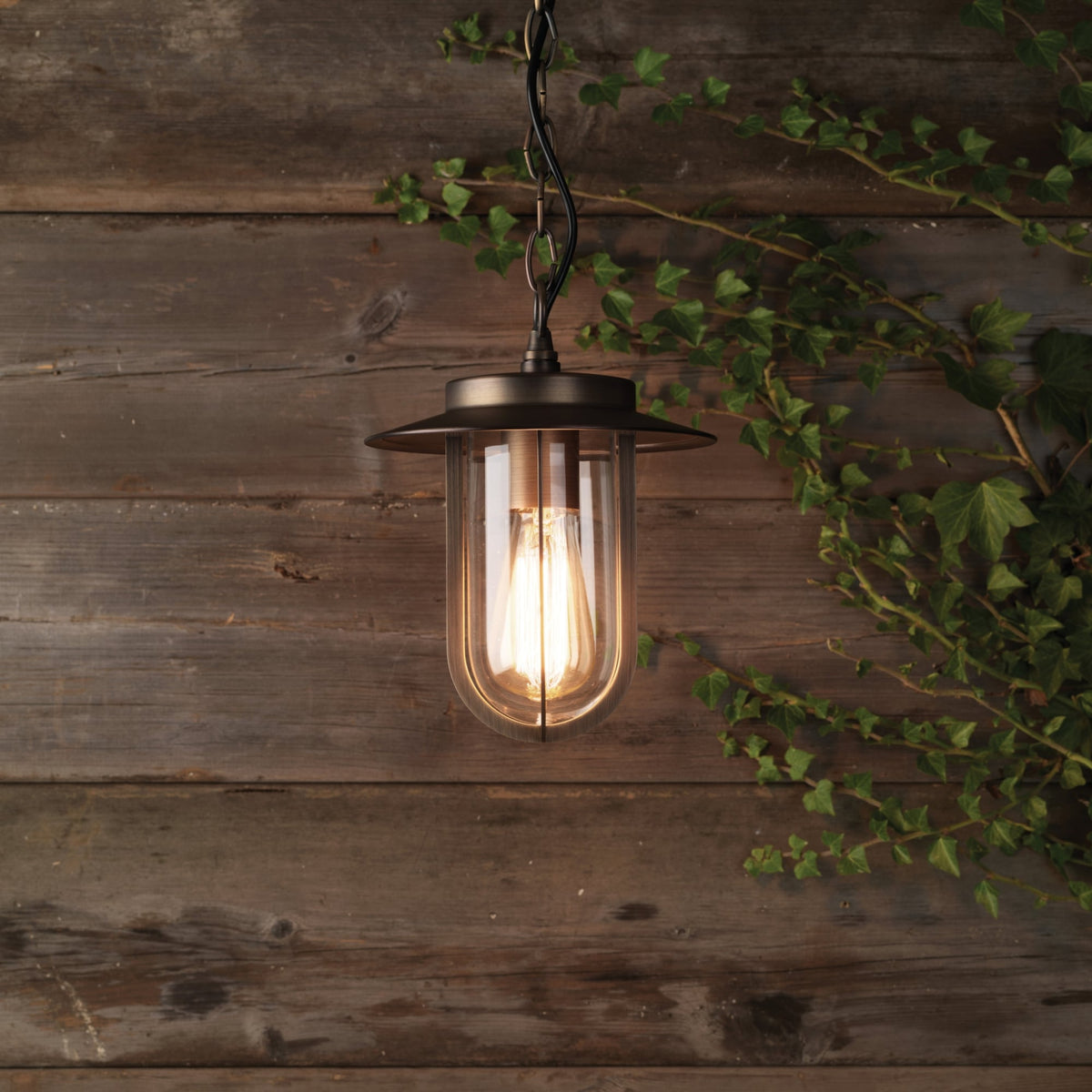 A bronze outdoor pendant light with a clear glass shade and an Edison bulb, hanging against a wooden wall with ivy
