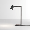 Ascoli Switched Desk Lamp in Bronze