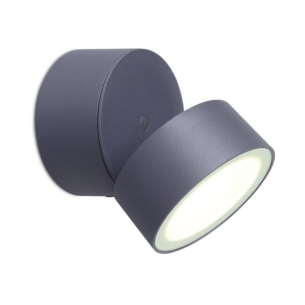 Trumpet 11W Exterior Single LED Wall Light in Graphite