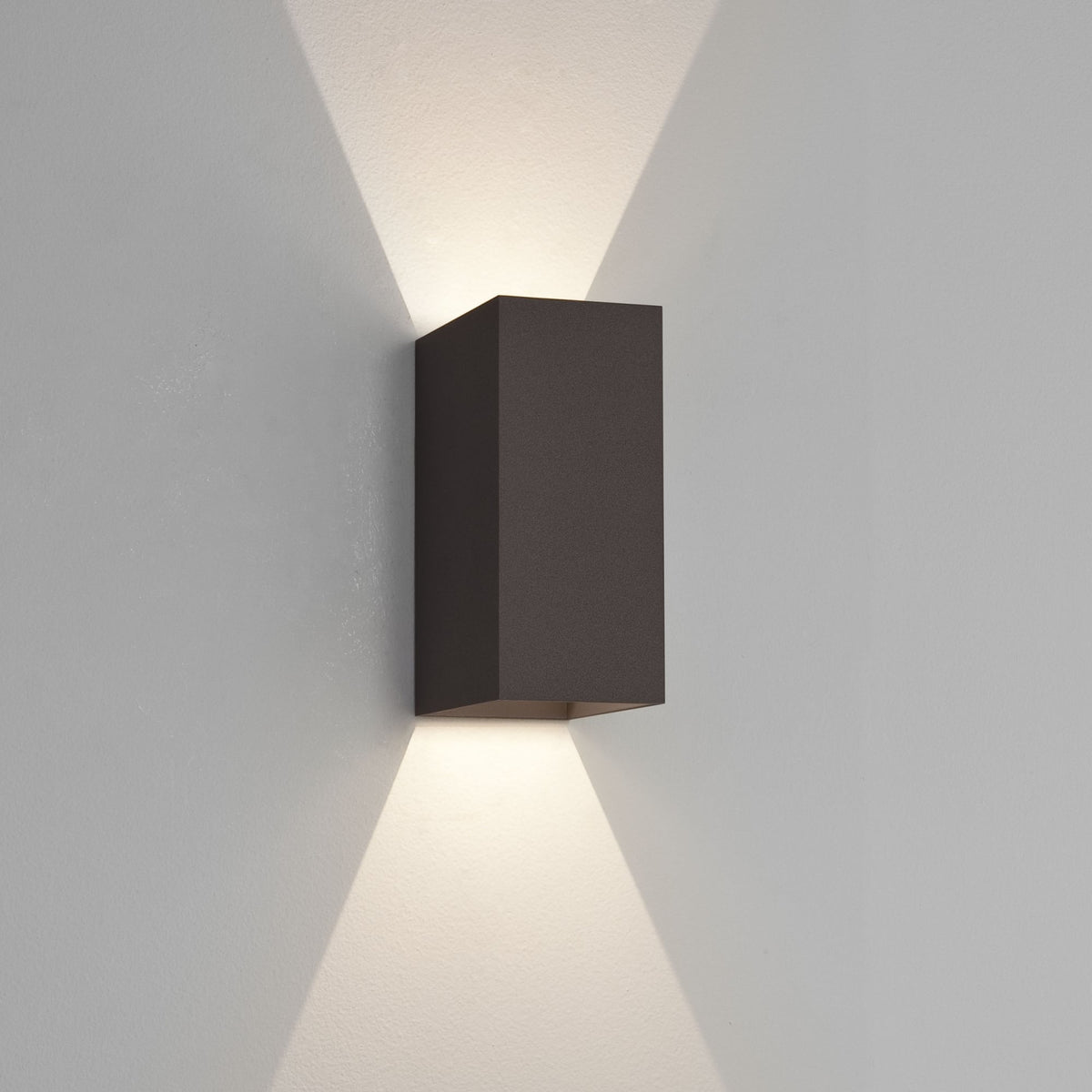 Oslo 255 LED IP65 Exterior Wall Light in Black