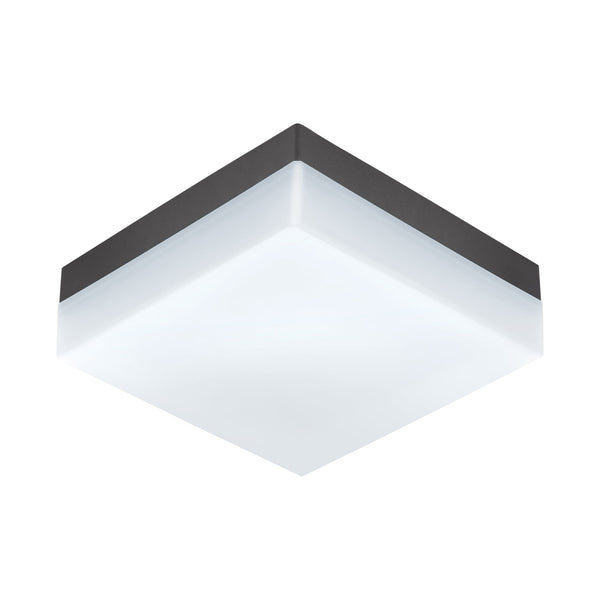 Sonella LED Outdoor Wall or Ceiling Light in Anthracite