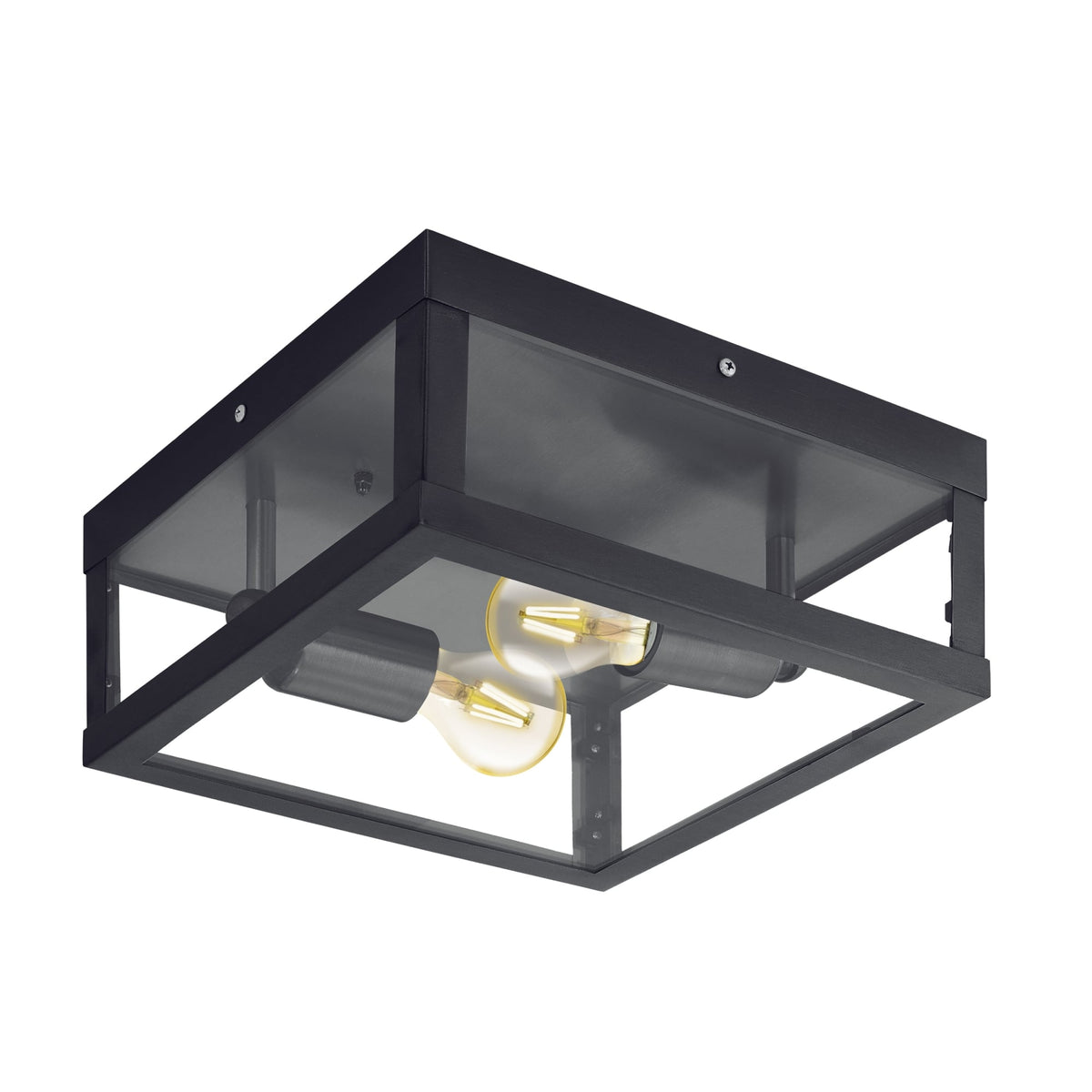Alamonte 1 IP44 Outdoor Wall or Ceiling Light in Black