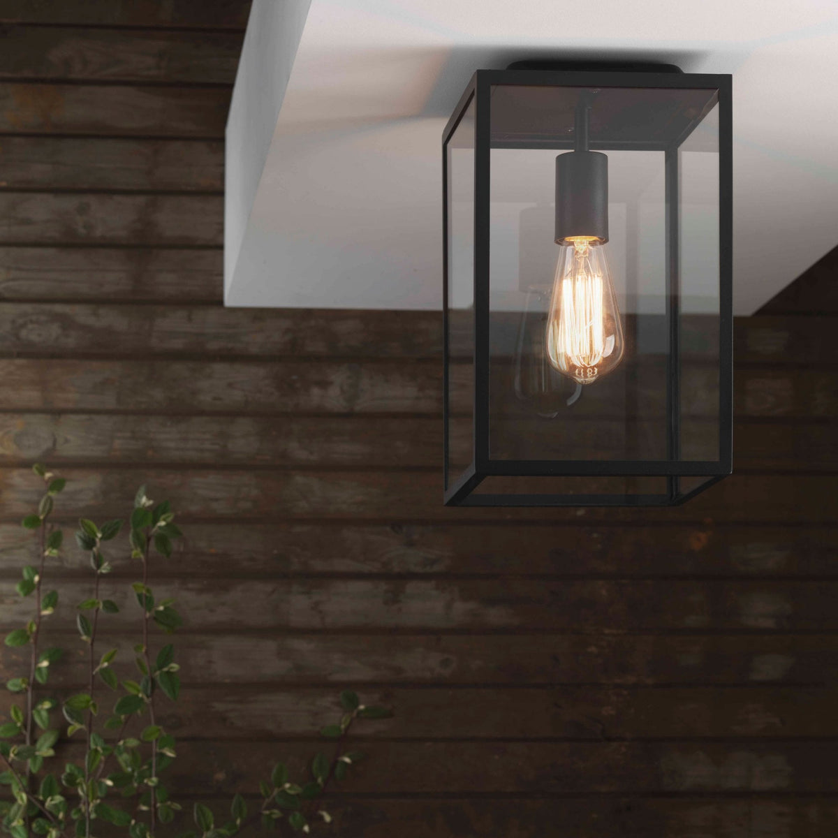 Homefield Ceiling Light in Black