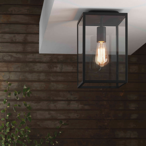 Homefield Ceiling Light in Black
