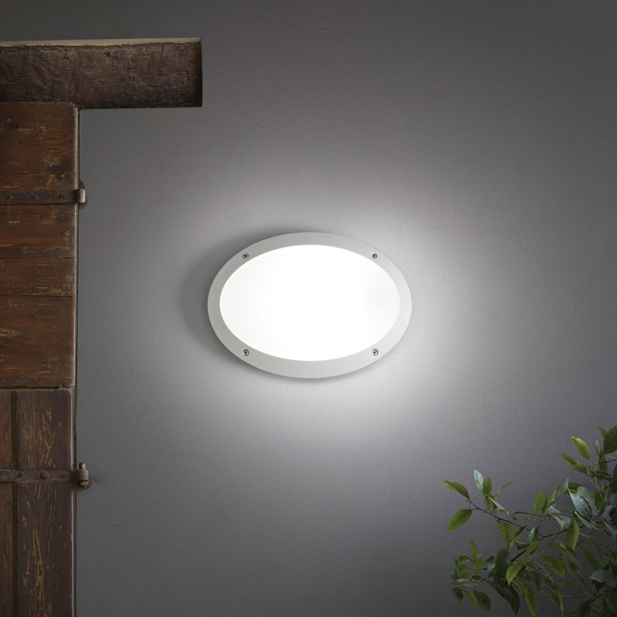 Maddi Coastal IP66 E27 Oval Bulkhead in White
