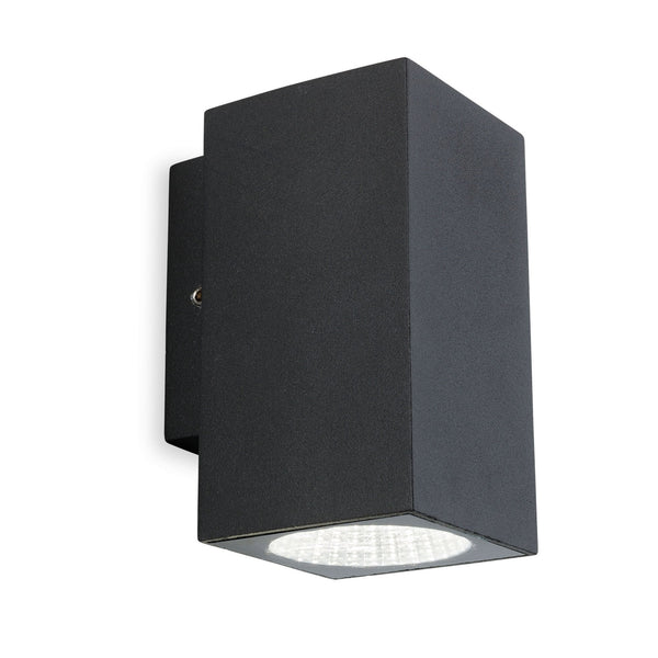 Dino Single LED Exterior Wall Light in Graphite
