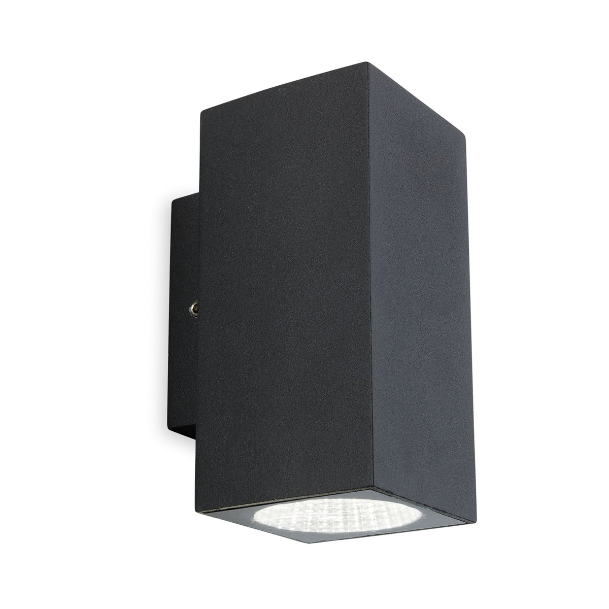 Dino Twin LED Exterior Wall Light in Graphite