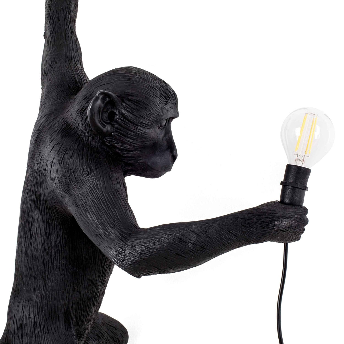 Monkey Outdoor Wall Lamp IP44 Hanging Left Edition in Black