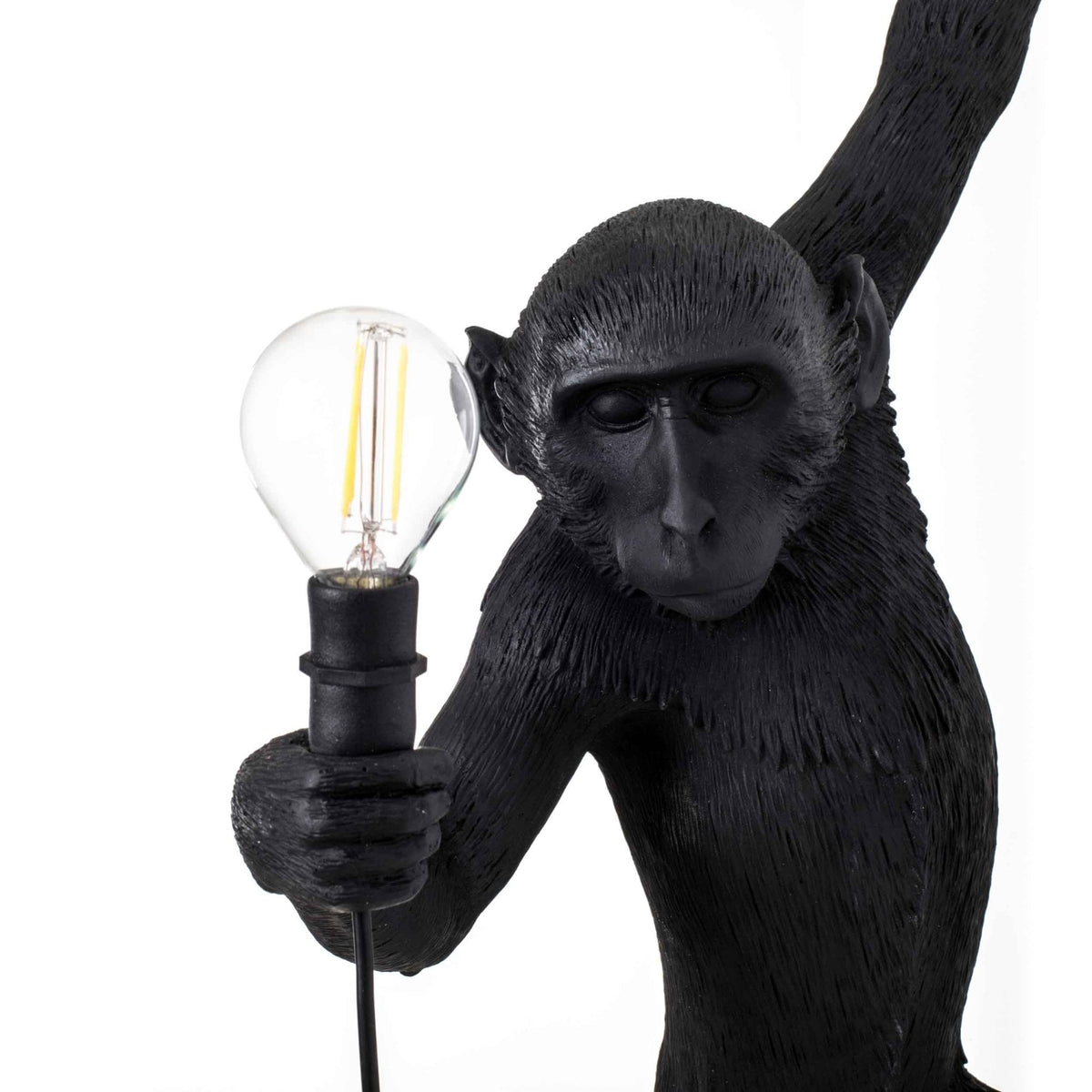 Monkey Outdoor Wall Lamp IP44 Hanging Left Edition in Black