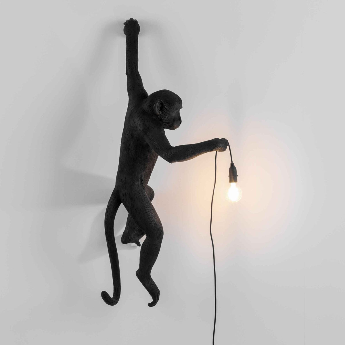 Monkey Outdoor Wall Lamp IP44 Hanging Left Edition in Black