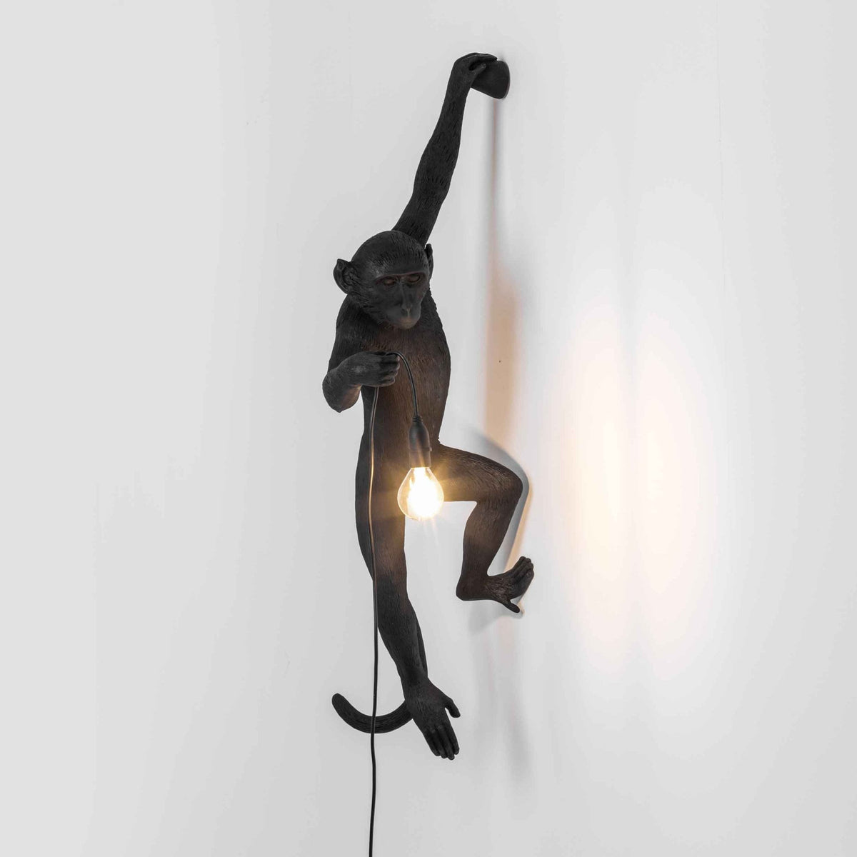 Monkey Outdoor Wall Lamp IP44 Hanging Left Edition in Black