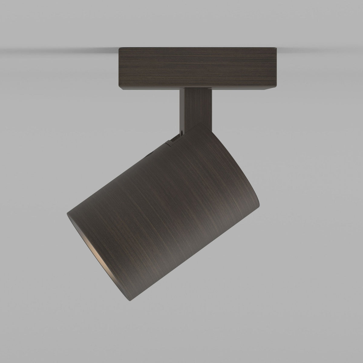 Ascoli Single Spotlight in Bronze