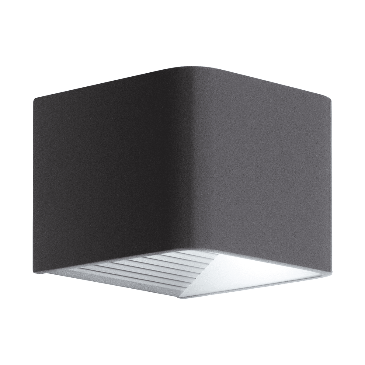 Doninni 1 LED IP55 Outdoor Wall Light in Anthracite