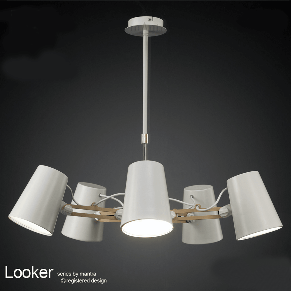 Looker 5 Light Adjustable Pendant in White and Beech Wood