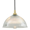 Maris IP65 Pendant Light with Polished Brass Detail