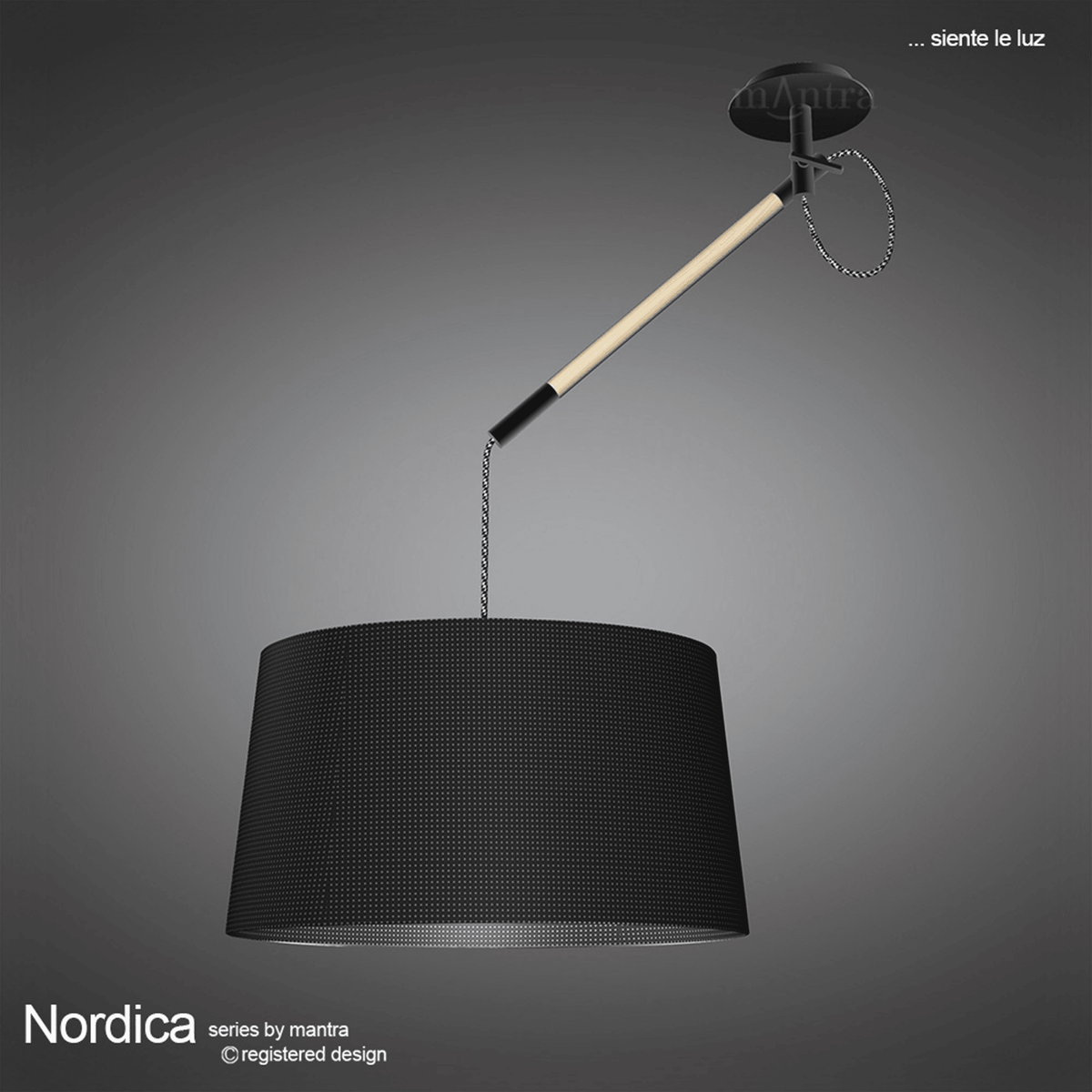 Nordica Multi Position Single Pendant in Black and Beech Wood