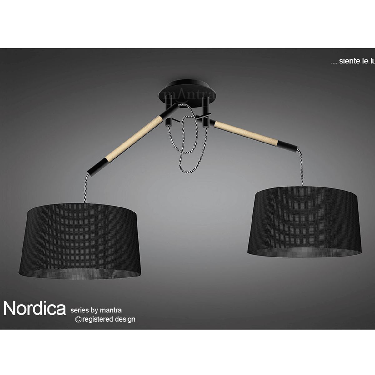 Nordica Multi Position Double Pendant in Black and Beech Wood