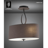 Lua Semi Flush 2 Light Ceiling Light in Ash Grey