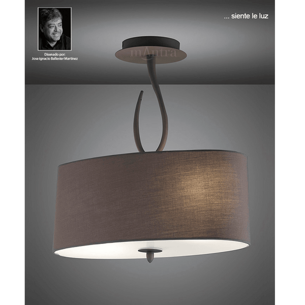 Brown oval ceiling light with a curved metal stem.