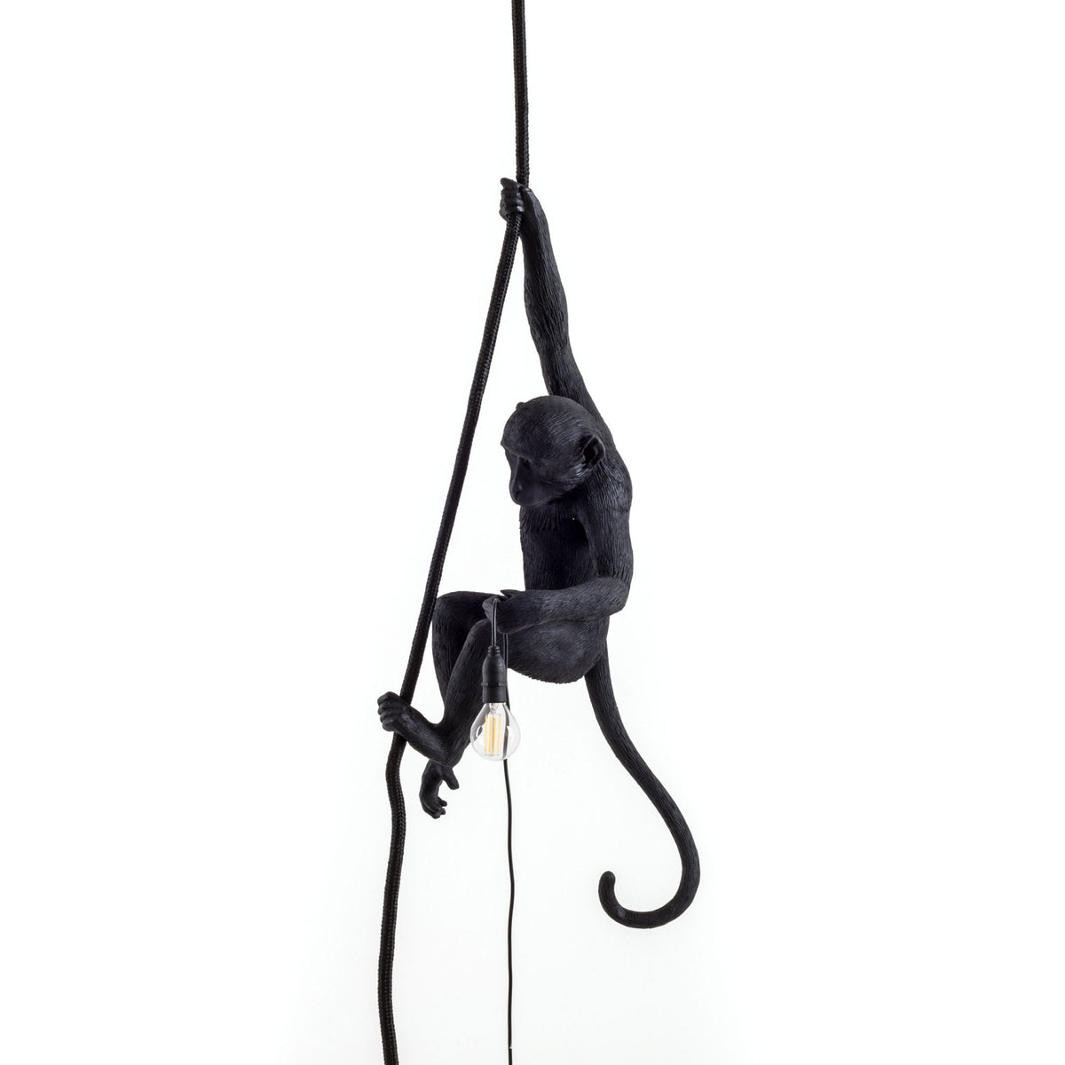 Monkey Outdoor Lamp IP44 with Rope Edition in Black