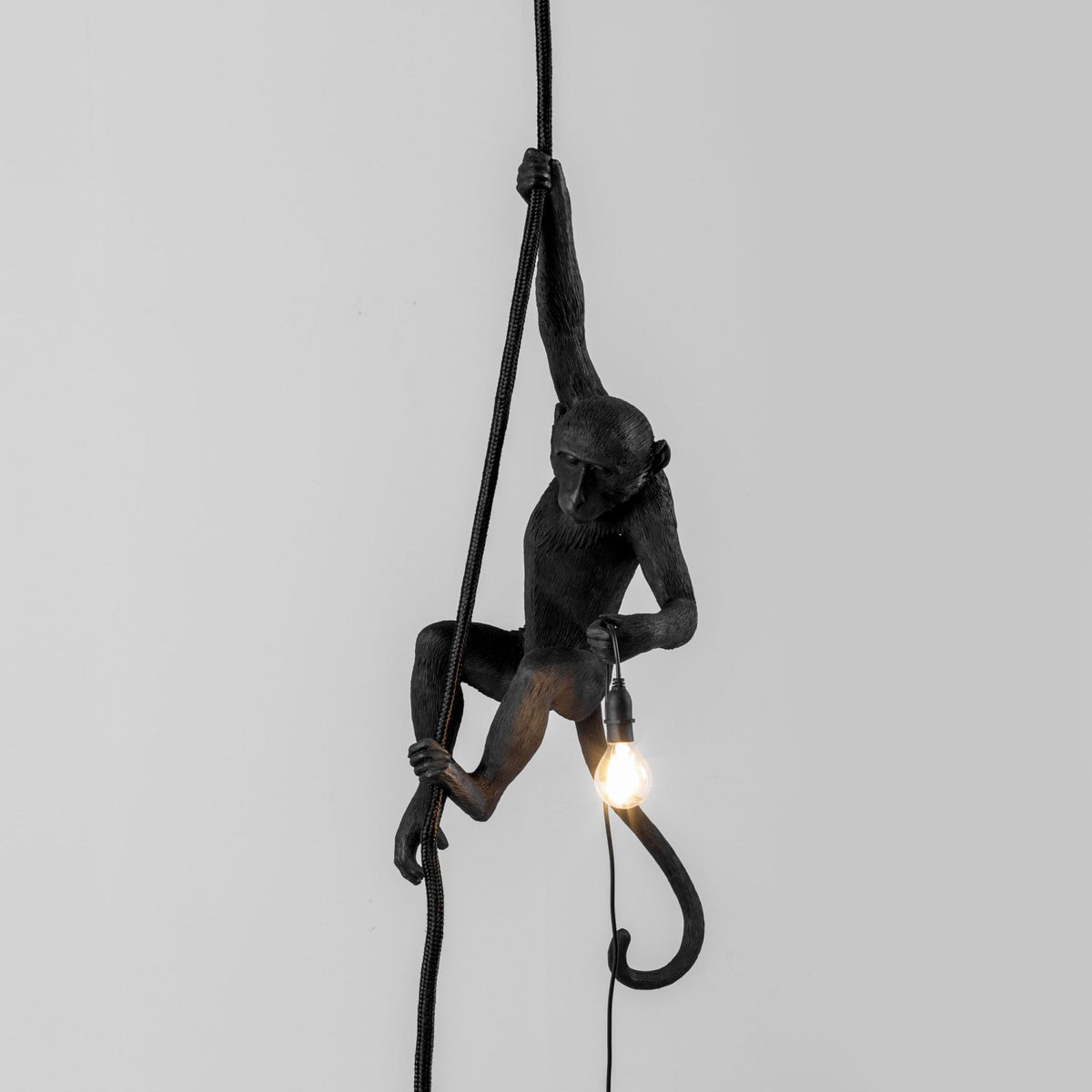 Monkey Outdoor Lamp IP44 with Rope Edition in Black