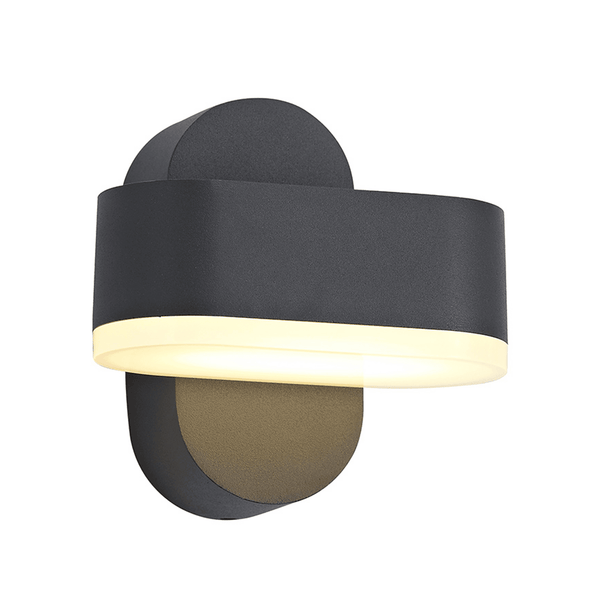 Ipplepen Adjustable LED IP54 Wall Light in Anthracite