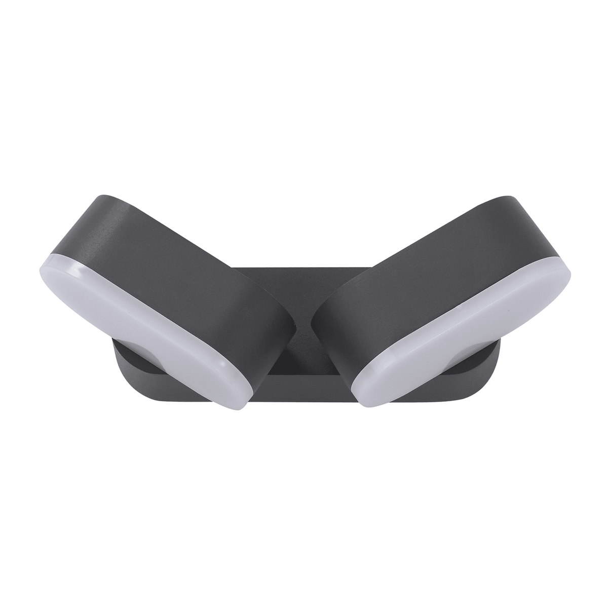 Ipplepen Twin Adjustable LED IP54 Wall Light in Anthracite