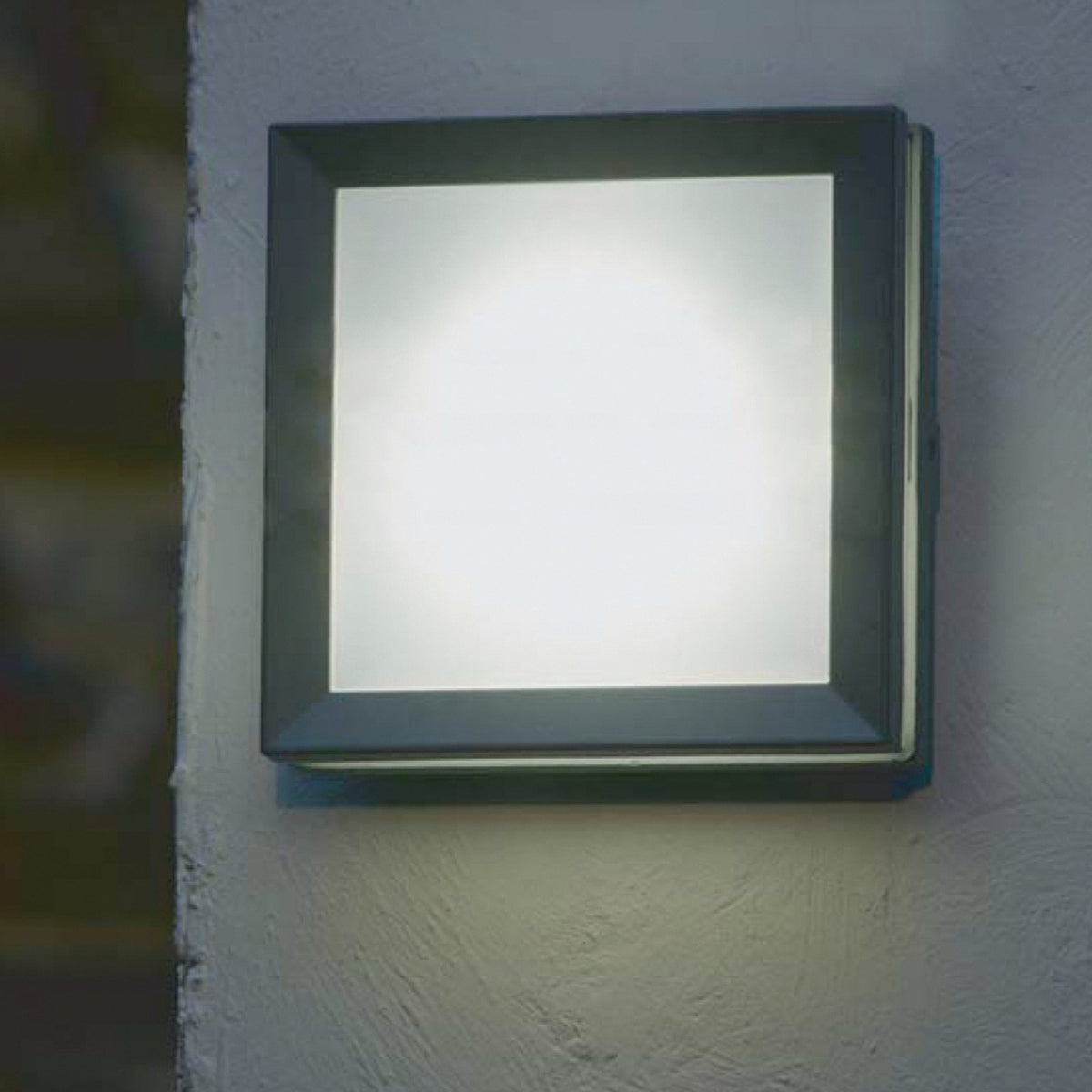 Egil 1 Small Wall or Ceiling IP54 Exterior Light