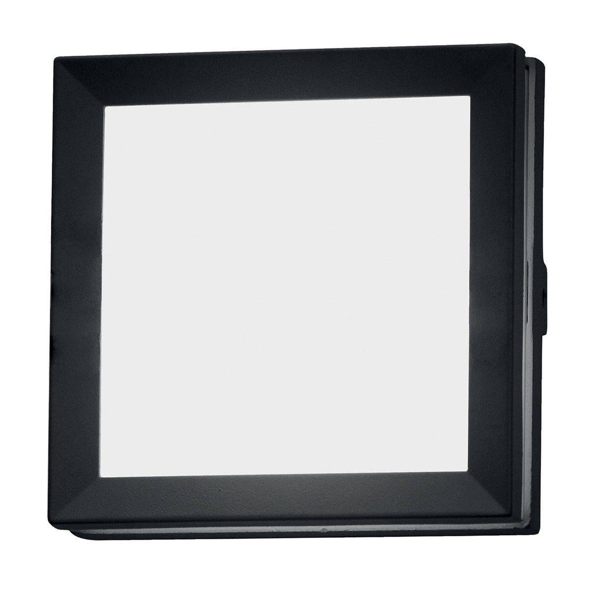 Egil 1 Small Wall or Ceiling IP54 Exterior Light