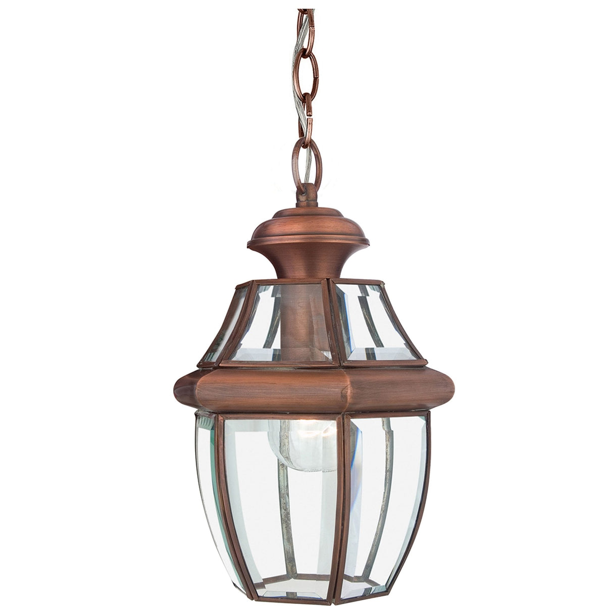 Newbury 1 Light Medium Chain Lantern in Aged Copper