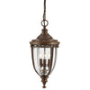 English Bridle 3 Light Large Chain Lantern in British Bronze