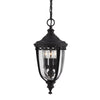 English Bridle 3 Light Medium Chain Lantern in Black