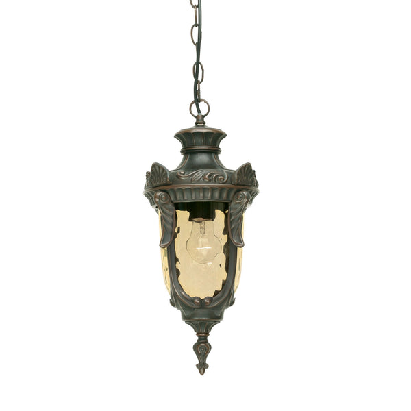 Philadelphia 1 Light Chain Lantern in Old Bronze