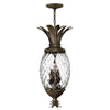 Plantation Four Light Pendant in Pearl Bronze