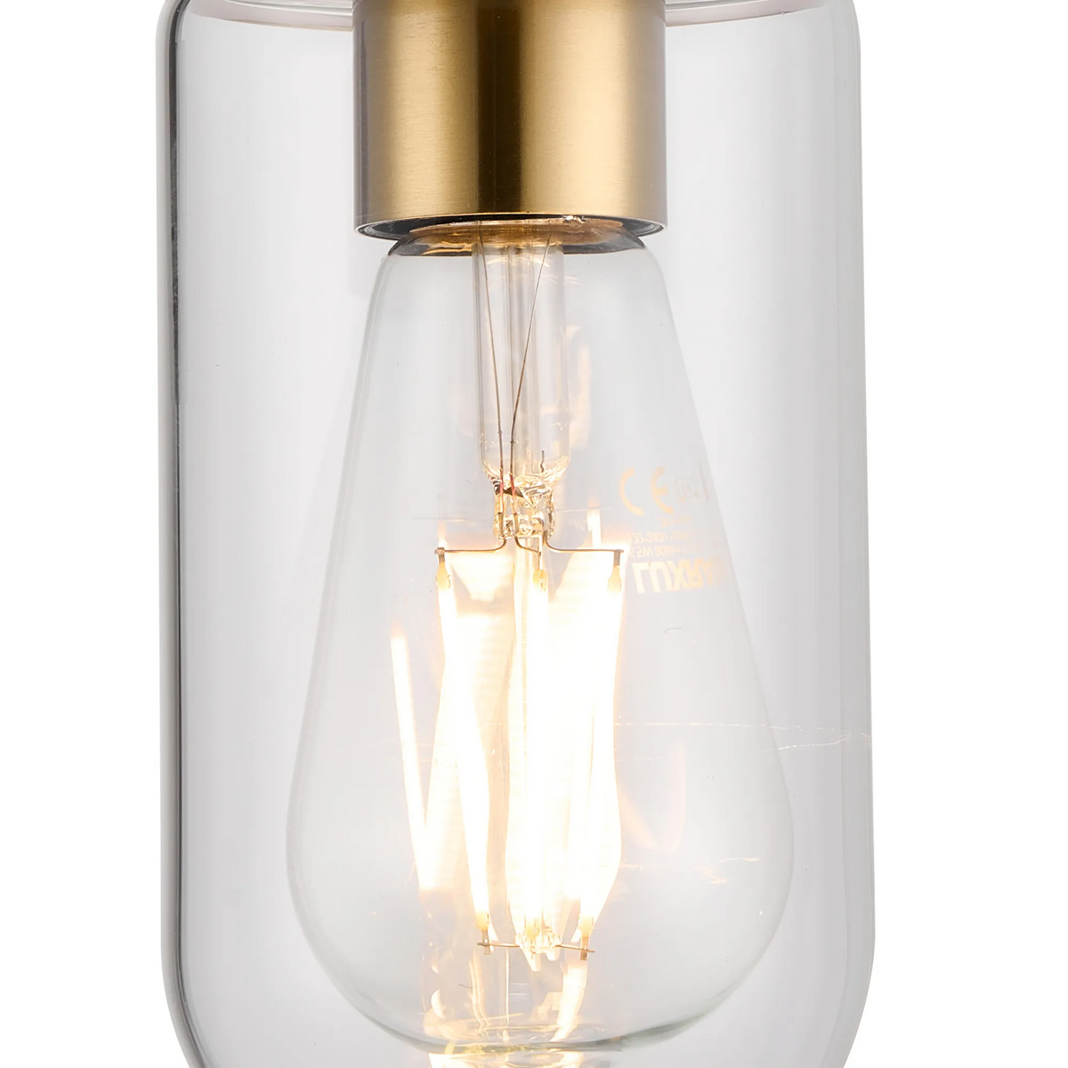Murston IP44 Exterior Wall Light in Brass with Clear Glass