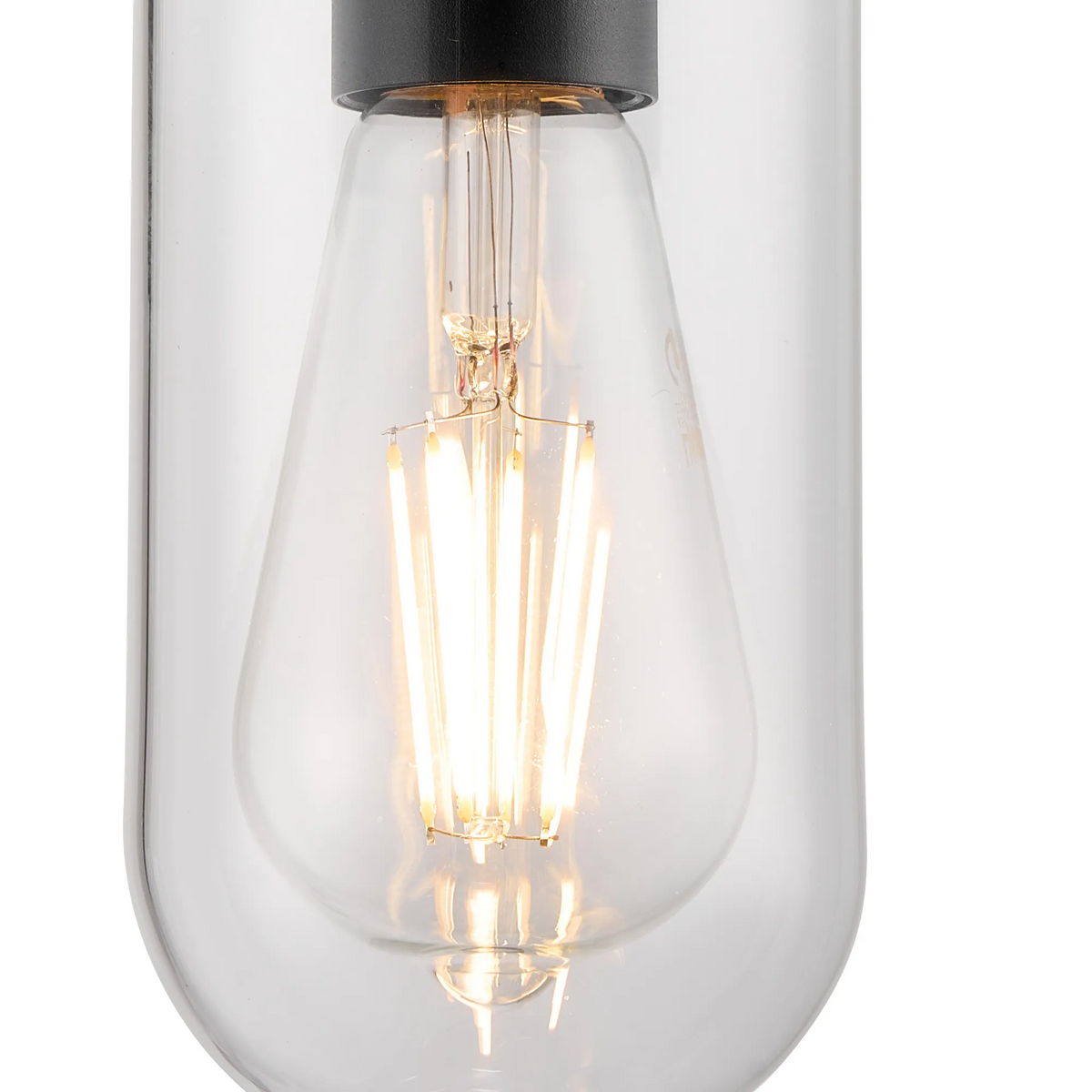 Murston IP44 Exterior Wall Light in Black with Clear Glass