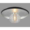 Reston Wall or Ceiling Light in Anthracite and Silver Leaf with Clear Rippled Glass Shade