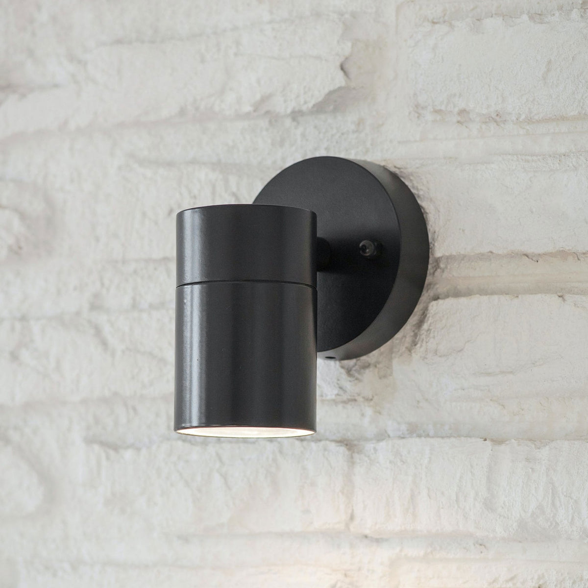 Regent Exterior Down Light in Carbon